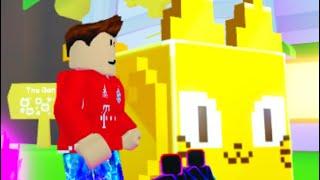 I found a person with a huge golden pixel cat!
