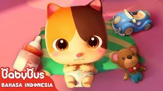 Bayi Kucing Super Lucu & Imut | Lagu Anak & Kartun Anak | Kebiasaan Baik | BabyBus Bahasa Indonesia