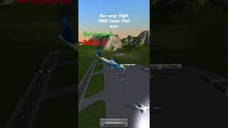 Sus Cargo Flight 4202 (fake crash) #planes #flight #flightsimulator #flights