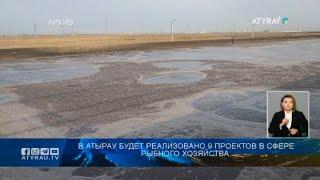 В Атырау будет реализовано 9 проектов в сфере рыбного хозяйства