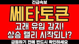 "쎄타토큰, 고래 유입 감지! 상승 랠리 시작되나?"