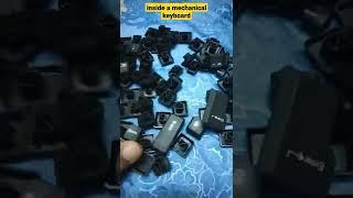 what's inside of a mechanical keyboard #shorts #inside_keyboard #asmr #techmentos