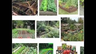 Organic Vegetable Garden Design - 2 Curvaceous Tips