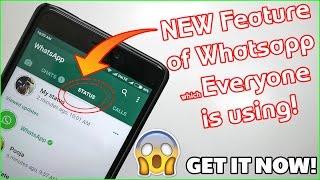 Whatsapp Stories! How to Get the Feature? How to Post/Delete/Hide?