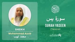 Quran 36   Surah Yaseen سورة يس   Sheikh Mohammad Ayub - With English Translation