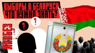 ВЫБОРЫ ПРЕЗИДЕНТА БЕЛАРУСИ: сбор подписей, регистрация кандидатов, агитация и досрочное голосование