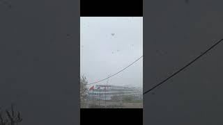 Санкт-Петербург, 5 мая ️️️                           Нравится ? ставь 