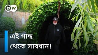 সব গাছ বন্ধু নয়