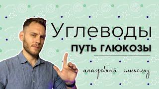 ГЛИКОЛИЗ!!! Так просто, как только возможно! (3D - химия)