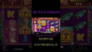 [슬롯] 아니 개집은 신이라니까요??? [The Dog House] #슬롯 #슬롯머신 #카지노 #카지노바카라 #슬롯대박 #슬롯실시간 #슬롯잭팟 #shorts