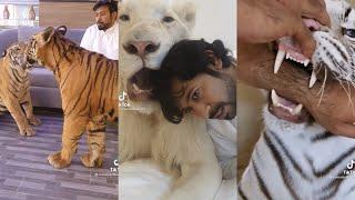 TikTok Dubai Humaid Albuqaish With His Pets Video