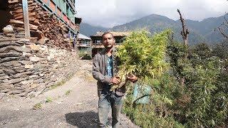 INDIA'S HIDDEN WEED VILLAGE | Malana, Parvati Valley 