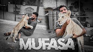 OUR MUFASA | shehr main dihat |