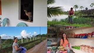 Colhendo verduras p/ vender + Eu e a Barbi fomos fazer compras