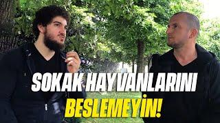 SOKAK HAYVANLARINI BESLEMEYİN! / Kerem Önder