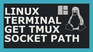 How To Get Tmux Socket Path Using Linux Command Line (Bash)