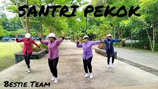 SANTRI PEKOK || Senam Kreasi Santri Pekok || Senam Kreasi Mudah Diikuti || Koreo By Bestie Team