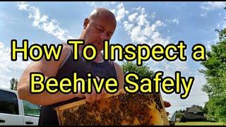 How To Inspect a Beehive Safely