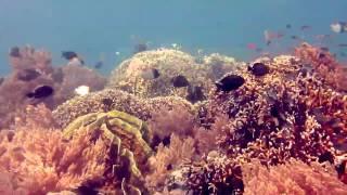 Visit Gorontalo (NOT) Hidden Paradise
