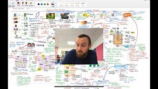 Cloning and Biotechnology Mindmap (OCR A Level Biology Module 6.4)