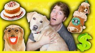 TRYING WEIRD DOG PRODUCTS