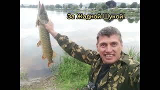 Рыбалка на Щуку!