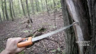How to use a saw to cut down a tree ...... safely