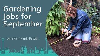 Planting Autumn Vegetables | Gardening Jobs for September with Ann-Marie Powell | PrimroseTV