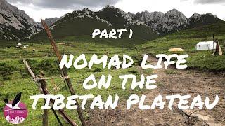 Nomad Life on the high Tibetan Plateau, Part 1