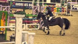 Showjumping - Pony of the Year Show  Grand Prix Round 2 - March 2013