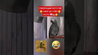 ГОВОРЯЩИЙ ПОПУГАЙ  СМЕХ ДО СЛЁЗ  ЧАСТЬ 125