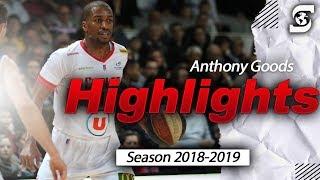 Anthony Goods Season Highlights 2018-2019