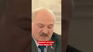 Лукашенко привёл в пример ЕС | Как выжить в современном мире? #одкб #минскаяправда #лукашенко