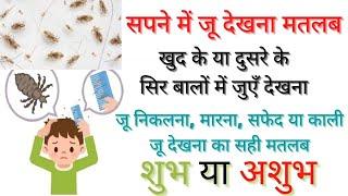 सपने में जू देखना मतलब | सपने में जुएँ सिर या बालों में देखना, जू निकलना, जू मारना देखने का अर्थ