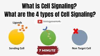 Cell Signaling and 4 Types of Cell Signaling