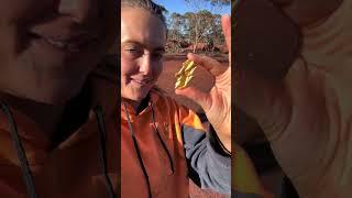 Gold is Gold | Aussie Gold is Best | Tyler Mahoney | Aussie Gold Hunters |