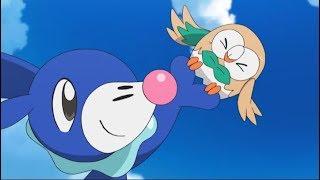 Adventures with Rowlet and Popplio!