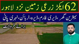 Land For Sale | باسٹھ ایکڑ زرعی زمین نزد لاہور برائے فروخت