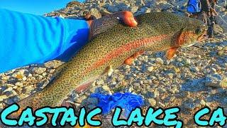 WIDE OPEN AFTERNOON BITELAST TROUT STOCK FOR 23/24 SEASON AT CASTAIC LAKE | SPRING 2024 #westramp