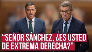 Sánchez, a Feijóo, sobre la renovación del CGPJ: "Para usted la perra gorda"