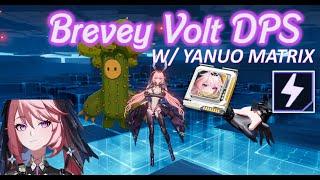 Brevey Volt Comp + Yanuo Matrix 2:30 Test 4123m - Tower of Fantasy 3.6