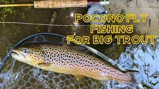 I Found the Best Trout River in the Poconos PA!! (Fly Fishing for MASSIVE Trout and Lots of Trout)