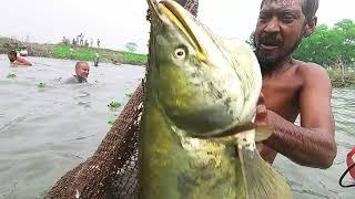 Village Small Pond In Amazing Big Sheat Fish Hunting.