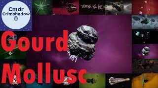 Gourd Molluscs of the Inner Orion - Elite Dangerous Codex Tour