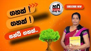 සන්ධි ගහ | සන්ධි පාඩමට ප්‍රවේශය | හරි අපූරු සිංහල මිස්