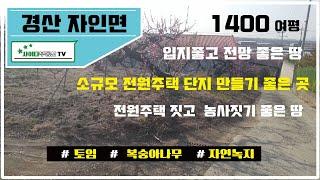 [경산토지매매]경산시 자인면 소재지인근 다용도 임야(토임) 자연녹지 1400여평 남서향 전망좋은 다용도 토지매매