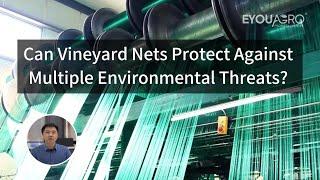 Can Vineyard Nets Protect Against Multiple Environmental Threats?