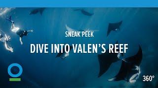 Sneak Peek: Dive into Valen's Reef (360 video) | Conservation International (CI)