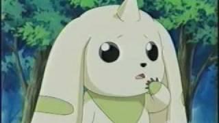 Digimon Tamers - Haystack in a Haystack