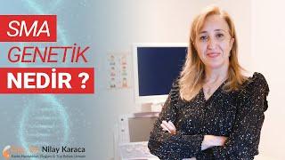 SMA Genetik Nedir? | Doç. Dr. Nilay Karaca